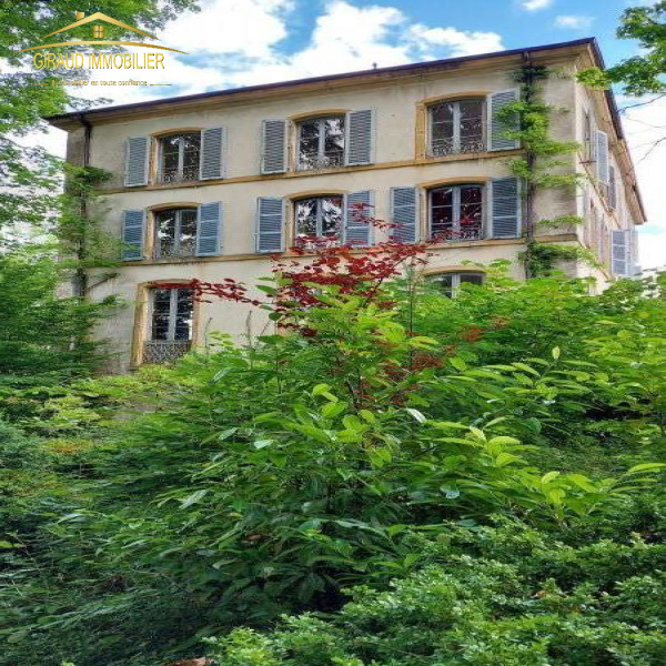 Offres de vente Propriete Cours-la-Ville 69470