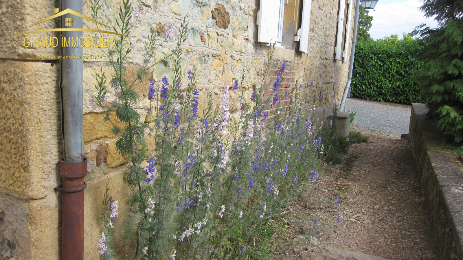 Image_11, Maison, Saint-Pierre-la-Noaille, ref :617