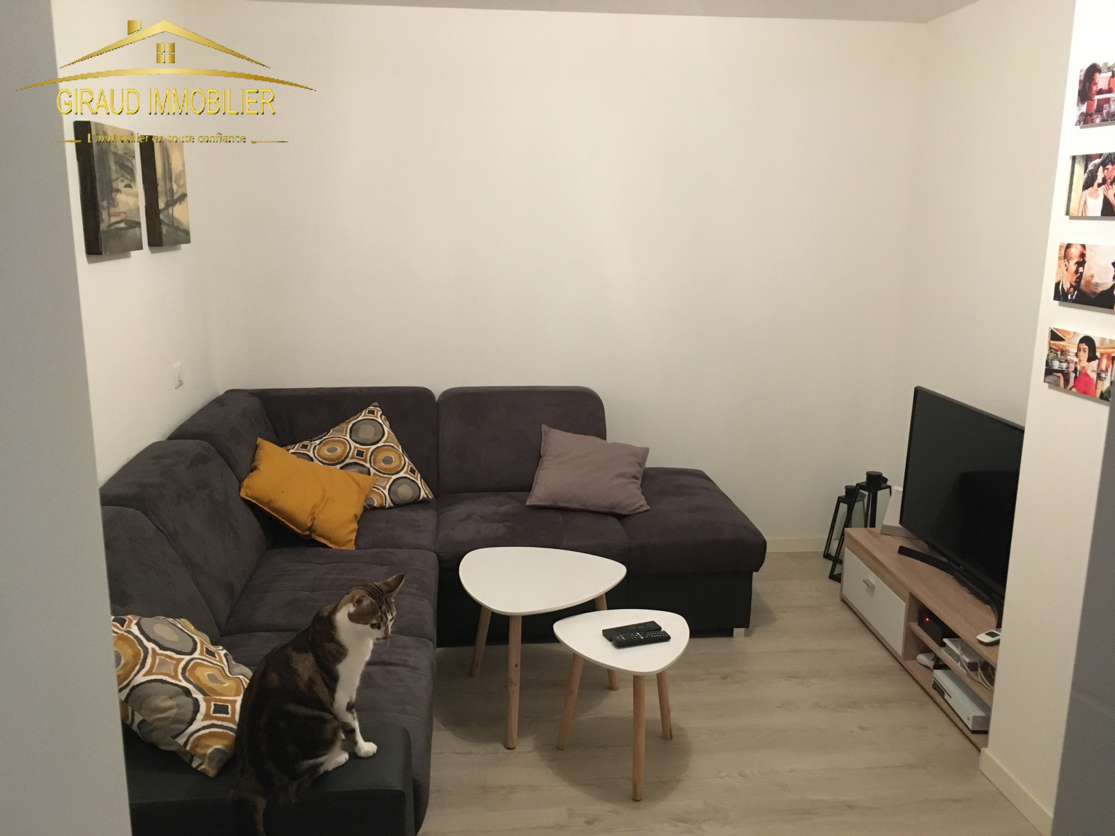 Image_, Appartement, Charlieu, ref :675t3g