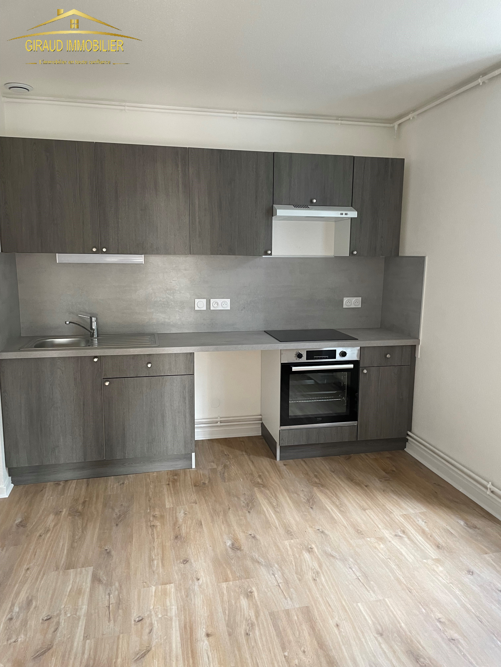 Image_, Appartement, Pouilly-sous-Charlieu, ref :669