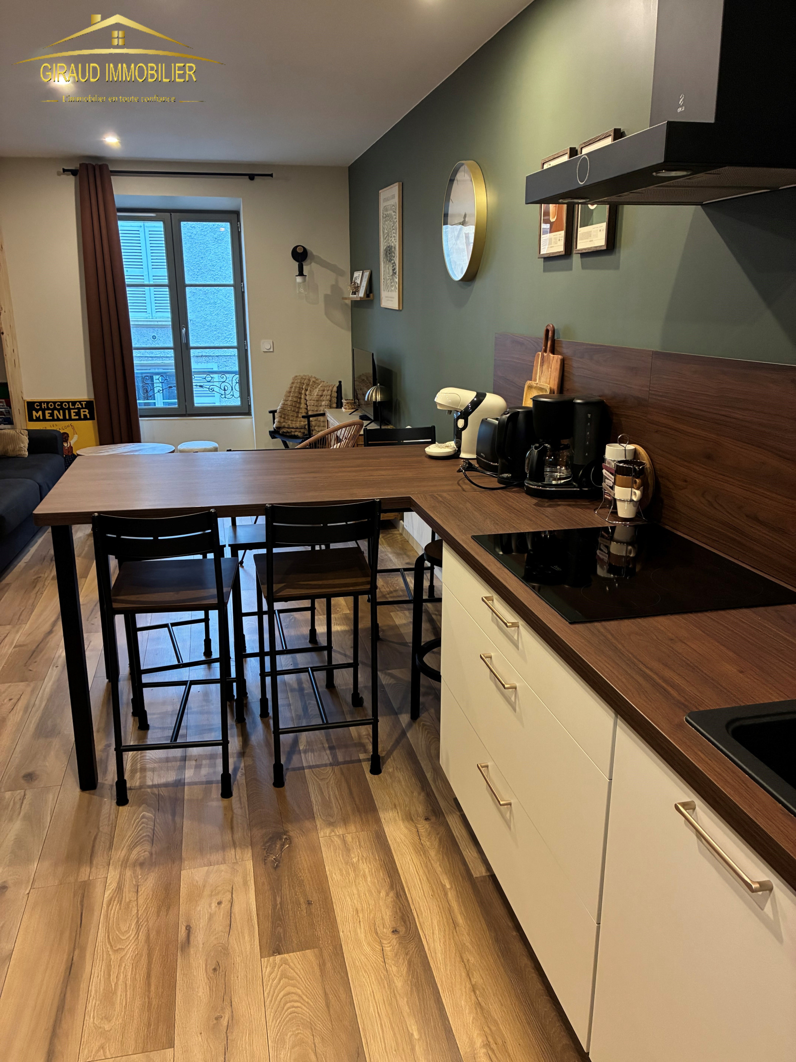 Image_1, Appartement, Charlieu, ref :917